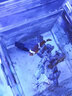 紅海星AE補水桶淡海水魚(yú)缸底濾背濾海缸全自動(dòng)加水免電力小缸1 2 3 4升 紅海星 補水桶 - 4L 曬單實(shí)拍圖