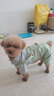 阿莫爾狗狗秋冬衣服泰迪衣服春秋幼犬小型犬貓咪可愛衣服寵物小狗四腳衣 皮卡丘變身裝 L-建議7-9斤內(nèi) 曬單實(shí)拍圖