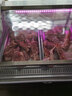 樂創(chuàng)（lecon）鮮肉展示柜超市冷鮮柜豬牛肉生鮮成列柜冷藏保鮮展示柜商用島柜熟食柜涼菜鴨脖展示柜水果風(fēng)冷保鮮 無霜風(fēng)冷-2.0米 松下壓縮機（玻璃門+拉簾門） 曬單實拍圖