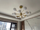 雷士（NVC）LED吊燈魔豆分子燈臥室吊燈客廳大燈燈具套餐北歐餐廳燈飾全屋 燈頭款 銅魔豆12頭-另購光源 曬單實(shí)拍圖