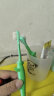 布朗博士儿童牙刷宝宝牙刷1-4岁软毛牙刷口腔清洁牙刷学习牙刷(小鳄鱼) 实拍图