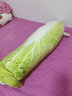 LittleCuCu蔬菜精靈菜狗娃娃抱枕睡覺(jué)玩偶白菜狗公仔毛絨玩具女友小孩禮物 經(jīng)典抱枕70厘米 帶防偽標，尺寸以吊牌為準 曬單實(shí)拍圖