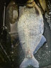 千代云禾 19調旗艦刺刀長(cháng)竿炮竿傳統釣魚(yú)竿日本碳素超輕超硬大長(cháng)節打窩竿 11m 【刺刀】+前兩節+竿包 曬單實(shí)拍圖