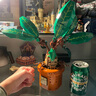 樂(lè )高（LEGO）哈利波特系列拼搭積木玩具男女孩粉絲收藏生日禮物 76433 曼德拉草 曬單實(shí)拍圖