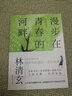 正版新書 林清玄散文集 漫步在青春的河畔  給青少年的啟蒙課現(xiàn)當代文學(xué)隨筆作 曬單實拍圖