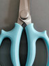 九千谷花藝剪刀園藝工具修枝剪枝家用鮮花插花盆栽專(zhuān)用花卉綠植藍色3231 曬單實(shí)拍圖