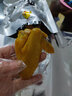 嘉洲豐盛（JIAZHOU）嘉洲雞鹽焗雞爪客家味小吃零食特產(chǎn)350克嘉州雞東莞鹽焗雞腳 鹽焗雞爪350g（一包約11-12個） 曬單實拍圖