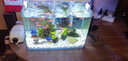 森森魚(yú)缸養魚(yú)增氧泵 小型制氧 養魚(yú)用打氧泵 水族箱增氧設備 YT-302C功率2.5W+2米氣管2個(gè)沙頭 曬單實(shí)拍圖