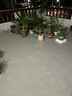 雨虹防水 樓頂屋頂防水補漏材料耐高溫防曬 防水涂料屋頂防水 房屋補漏 曬單實(shí)拍圖