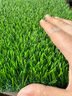 COOLGRASS仿真草坪假草坪人造草坪戶(hù)外庭院陽(yáng)臺屋頂別墅庭院戶(hù)外地毯草皮 5cm旗艦款（3米寬）拍幾件發(fā)幾米 曬單實(shí)拍圖