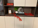 歐梵普（oufanpu）迎客松流沙畫(huà)擺件客廳玄關(guān)辦公室擺件喬遷禮物新中式禪意山水裝飾 迎客松流沙畫(huà)擺件 【青松迎客，財源廣進(jìn)】 曬單實(shí)拍圖