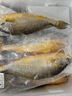 朵芙黃花魚 冰鮮大黃魚 黃魚4條 海鮮水產(chǎn) 燒烤食材生鮮魚類年貨送禮 【碼頭直供】4條大黃魚 曬單實(shí)拍圖