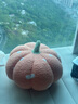 蘭麗坊 彩色波點(diǎn)南瓜毛絨玩具2025新款南瓜特色抱枕蔬菜玩偶靠枕坐枕 白色波點(diǎn)南瓜 小號(hào)20cm一個(gè) 曬單實(shí)拍圖