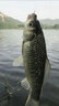 卸力線組斑點釣魚線套裝全套主線正品綁好超強拉力鯽魚主線組成品 3.6米卸力子線夾(單迷彩鉛 3卷裝) 0.8# 曬單實拍圖