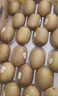 佳沛（zespri）新西蘭  陽光金奇異果巨大果22粒原箱 單果重約144-175g 獼猴桃 曬單實拍圖