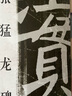 現(xiàn)貨速發(fā) 張猛龍碑 名碑名帖完全大觀28大家書院系列毛筆楷書練字帖徐偉平王玉池著基礎(chǔ)實(shí)戰(zhàn)臨摹 曬單實(shí)拍圖