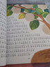 七彩童書(shū)坊：昆蟲(chóng)記（水晶封皮 彩圖注音版 珍藏版）一二三年級課外閱讀書(shū)籍 曬單實(shí)拍圖