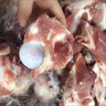果亦橙豬筒骨大骨頭新鮮帶肉筒子骨農(nóng)家散養(yǎng)土豬棒骨豬大骨2000g凈重 精品豬大骨帶肉 2斤 曬單實(shí)拍圖