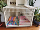 邦可臣狗籠子中型犬小型大型樹脂狗籠愛麗絲寵物籠狗狗家用室內(nèi)別墅圍欄 【L標(biāo)配】長96cm-柴犬/邊牧等 母嬰級PP樹脂加強(qiáng)筋-不卡腳趾 曬單實(shí)拍圖