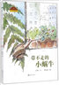 小蝸牛自然圖畫(huà)書(shū)系（平裝套裝共4冊）少兒科普讀物動(dòng)植物 3-7歲手繪  曬單實(shí)拍圖