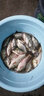 金龍金龍魚(yú)餌逗釣大板鯽抖米四代釣魚(yú)抖米餌料可掛鉤酒米野釣鯽魚(yú)鯉魚(yú) 抖米四代-中藥VB+麝香各2瓶 50g 曬單實(shí)拍圖