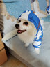 華元寵具（hoopet）狗狗衣服冬天保暖四腳羽絨服寵物小型犬比熊柯基棉服泰迪冬季衣服 【加厚加絨】四腳棉服 藍(lán) M：背長29cm【建議5-7斤】 曬單實(shí)拍圖