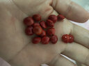相思豆散珠手工diy手串鏈配件紅豆菩提原籽珠子打孔飾品配飾 豎孔-50顆 曬單實(shí)拍圖