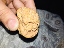 山中玉麒麟紋官帽文玩核桃特大收藏級核桃文玩手把件送禮禮品生日禮物 50mm麒麟紋官帽+工具 曬單實(shí)拍圖