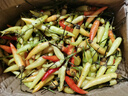 ZXC廣西白米椒 新鮮朝天小米椒 特辣野山椒可做泡椒 2斤1kg 曬單實(shí)拍圖