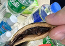 和成天下 檳榔白虹貫日輕奢大禮包海南檳榔湖南特產(chǎn) 白虹貫日掃碼無(wú)獎1禮包（5小包） 曬單實(shí)拍圖
