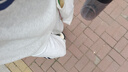 凡小如鞋子女小白鞋學(xué)生休閑百搭運(yùn)動(dòng)鞋潮流小眾設(shè)計(jì)感2025厚底星星板鞋 藍(lán)色星星板鞋 37（適合36碼） 曬單實(shí)拍圖