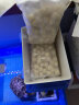 派乐特 鱼缸过滤材料细菌屋滤材生化球硝化细菌培菌球 培菌球500g 实拍图