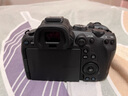 佳能/Canon EOS R RP R5 R6  R7 R10全畫(huà)幅專(zhuān)業(yè)微單相機4K 二手微單相機 R6 【單機】 95新 曬單實(shí)拍圖