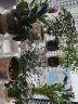 木马人（MUMAREN）实木转角组合花架多肉多层阶梯落地式绿萝阳台木质花盆架子置物架收纳架 （3层）转角白色-带花铲 实拍图