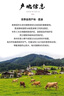 美工京東落地頁詳情頁設(shè)計店鋪首頁裝修主圖海報設(shè)計網(wǎng)店裝修店鋪設(shè)計電商設(shè)計修圖精修美工服務(wù)圖片設(shè)計 主圖設(shè)計 曬單實拍圖