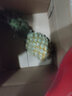 星云湖 云南香水菠蘿整箱河口小菠蘿脆甜多汁當(dāng)季新鮮水果當(dāng)季現(xiàn)摘脆甜 5斤 【實(shí)惠裝】單果重300g丨品質(zhì)好果，美味試吃 曬單實(shí)拍圖