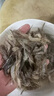 十里饞微山湖淡水河蝦新鮮鮮活的冷凍草蝦大青蝦魚(yú)食小草蝦醉蝦順豐 250g 3-4cm 曬單實(shí)拍圖