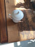 洛戈純白茶杯定制logo陶瓷杯陶瓷帶蓋骨質(zhì)瓷會(huì )議杯介辦公杯 尖頭杯純白 曬單實(shí)拍圖