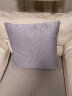 罗莱（LUOLAI）抱枕靠垫含芯 现代低奢靠枕沙发床头座椅腰枕可拆洗 流星香芋紫 实拍图