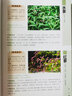 800種中草藥彩色圖鑒（精選版） 曬單實(shí)拍圖