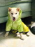 超可耐防風(fēng)防水比熊衣服秋冬加厚狗狗衣服小型犬泰迪博美雪納瑞四腳棉衣 綠色 L碼（適合8-10斤） 曬單實(shí)拍圖