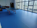 新綠里（SIGREENY）乒乓球地膠室內乒乓球場(chǎng)地膠墊pvc運動(dòng)塑膠地板專(zhuān)業(yè)羽毛球地膠墊 曬單實(shí)拍圖