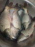 恒冠（HENGGUAN） 恒冠正品原廠不銹鋼配件 碳素配件 炮臺架 魚護(hù)支架釣箱配件 釣燈支架 不銹鋼炮臺架 曬單實拍圖