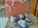 姗珀（SHANPO）女生生日礼物女孩子猫咪摆件可爱礼品送女友实用办公桌装饰品 一套5只 精美礼盒装 实拍图