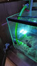 創(chuàng)寧魚缸燈uv殺菌燈魚缸殺菌燈潛水滅菌燈水族箱除氯紫外線除藻消毒燈 殺菌燈【9W】建議1.2-1.5米缸用 曬單實(shí)拍圖