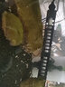 雅柏（UP）臺灣雅柏UP魚(yú)缸加溫棒水族箱加熱棒帶防爆自動(dòng)恒溫器加熱管電熱棒 300W 2020款D-899 曬單實(shí)拍圖