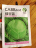 元井匯（YUANJINGHUI）甘藍種子種籽苗卷心菜包菜孑菜籽大頭菜牛心包心菜菜種籽蔬菜種子 綠甘藍一包（6000粒） 曬單實(shí)拍圖