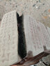 卡帝樂(lè)鱷魚(yú)品牌斷碼皮毛一體雪地靴女冬季棉靴加厚底馬丁靴短靴加絨保暖棉鞋 淺棕色(加絨) 40 曬單實(shí)拍圖