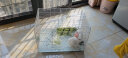 威毕兔笼兔子笼家用室内专用大号荷兰猪豚鼠松鼠刺猬小型狗笼方便清粪 白色特大号-13件套 实拍图
