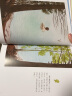 瓦尔登湖（奇想国童书）呼唤小读者去面对周围的一切可能，去倾听、去践行、去生活 实拍图
